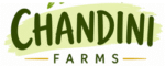 logo250100